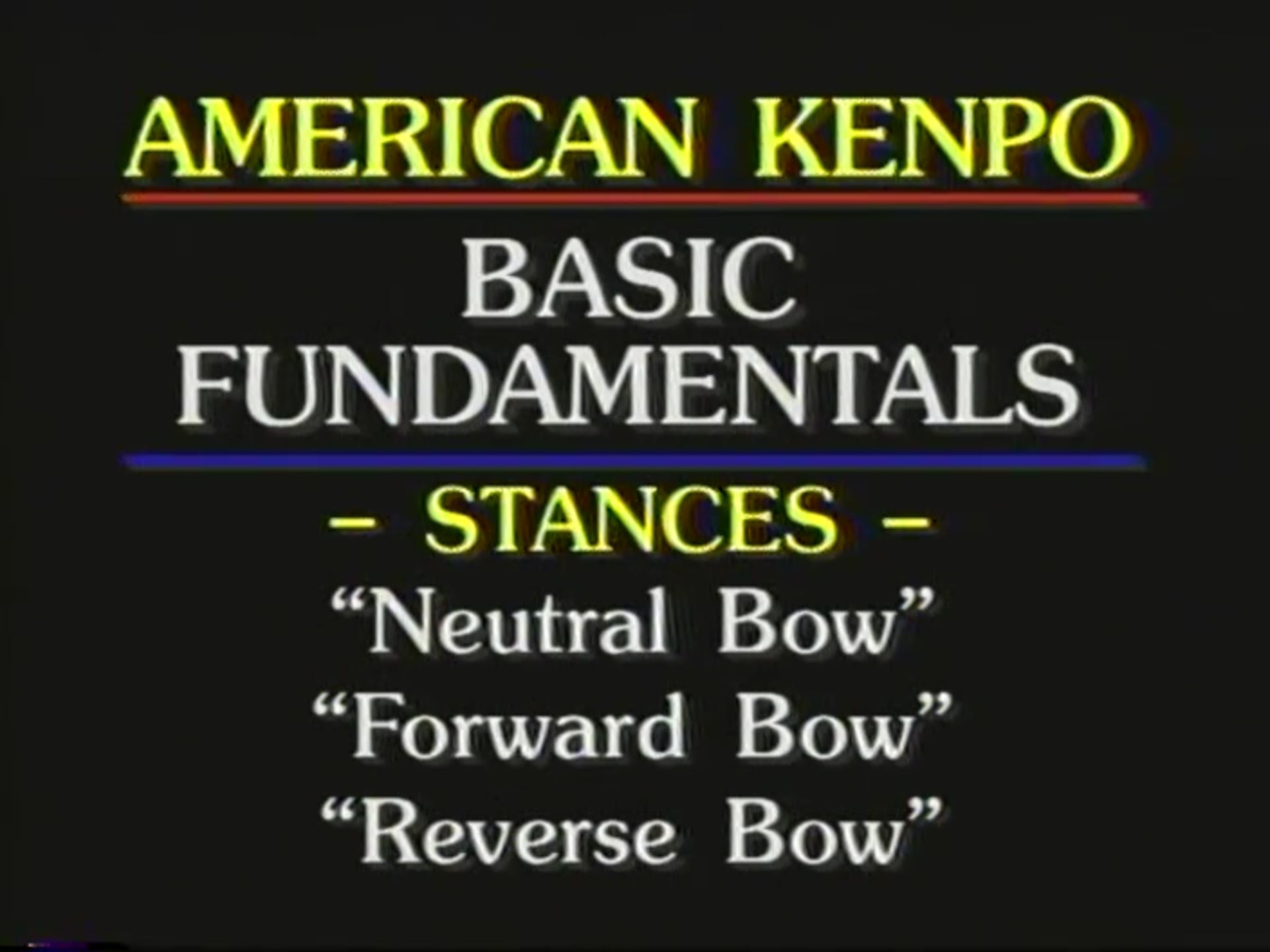 Mohamad Tabatabai - Fundamentals 1 - Stances and Punching Technique