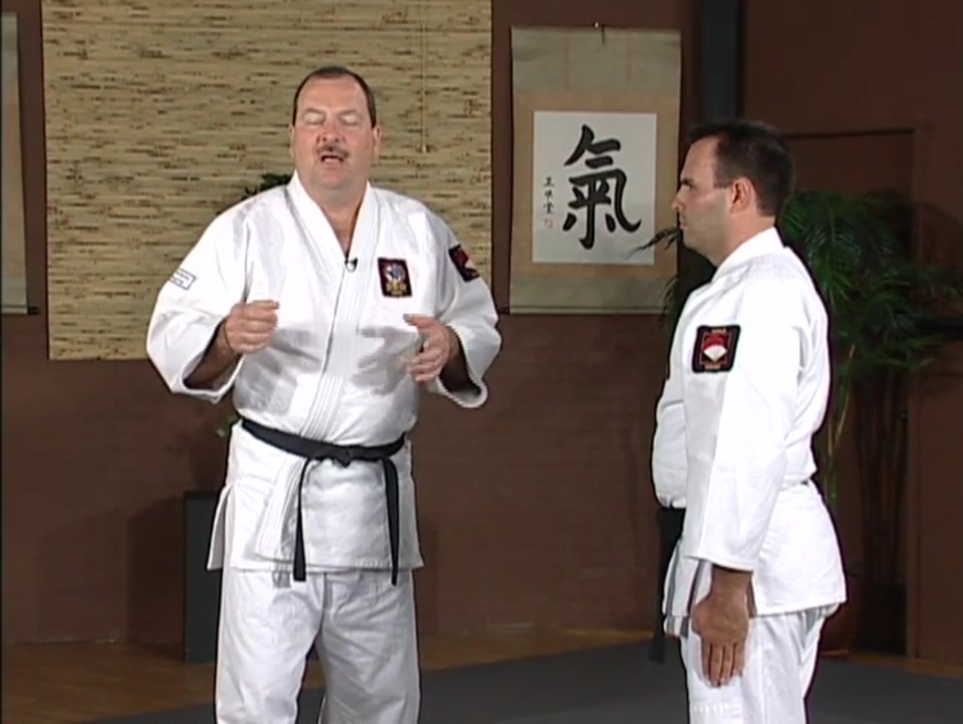 Kevin Bloc - Intermediate Aikido 2