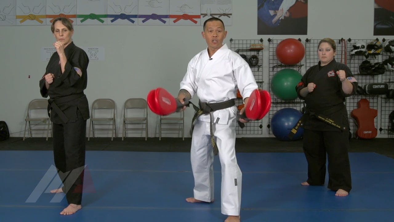 Ernie Reyes Jr. Spinning Hook Kick Progressions Paddle Drills