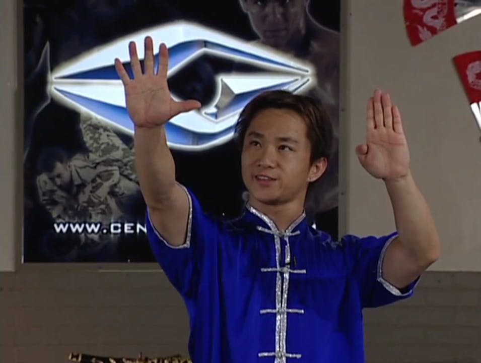 DX Basic Hand Gestures Martial Arts Drills