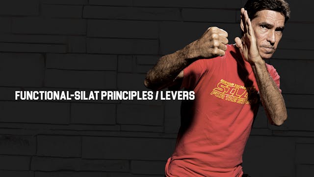 Functional-Silat Principles / Levers