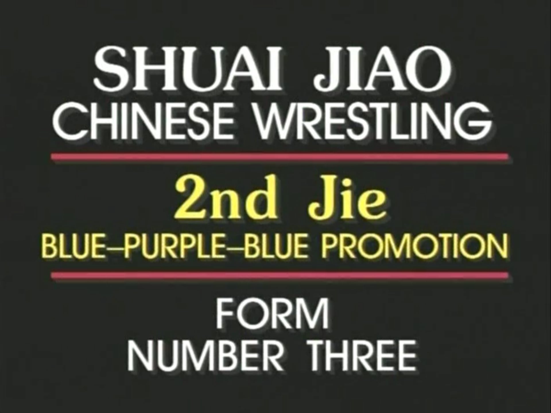 P. Chema - Blue - Purple - Blue Belt Techniques