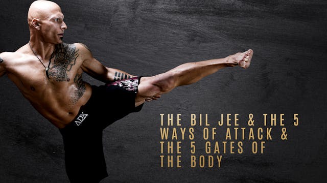 The Bil Jee & The 5 Ways of Attack & The 5 Gates of the Body