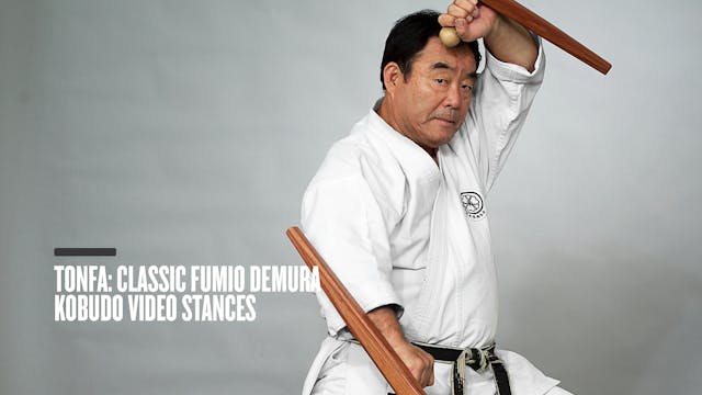Tonfa: Classic Fumio Demura Kobudo Video Stances