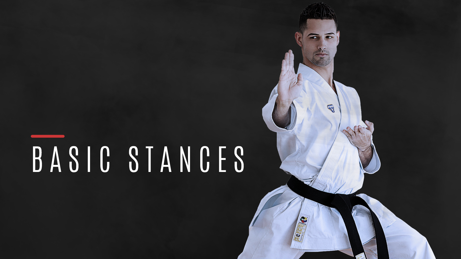 Basic Stances MA Drills