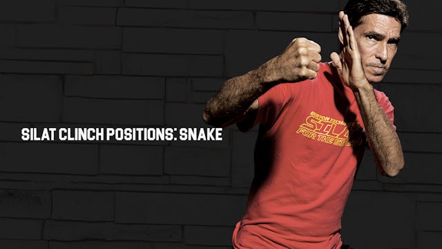 Silat Clinch Positions: Snake