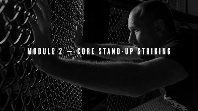 Module 2 — Core Stand-Up Striking