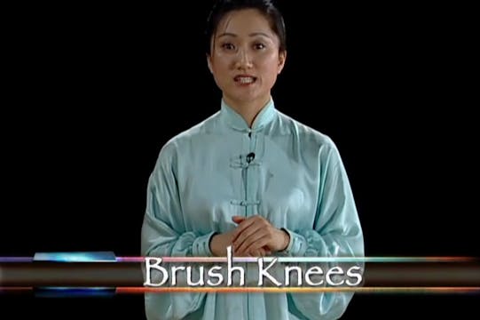 Li Jing - Yang Sixteen Movements and ...