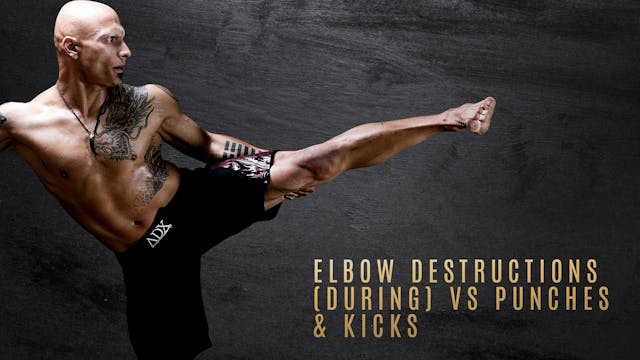 Elbow Destructions vs Punches & Kicks Long Range Destructions vs Jab & Cross
