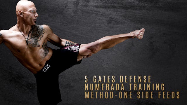 5 Gates Defense - Numerada Training Method - One Side Feeds
