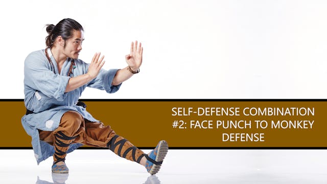 Self-Defense Combination #2: Face Punch to Monkey Defense