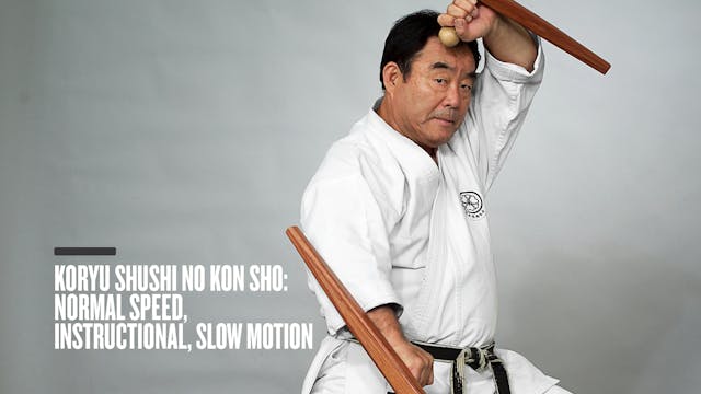 Koryu Shushi No Kon Sho: Normal Speed, Instructional, Slow Motion