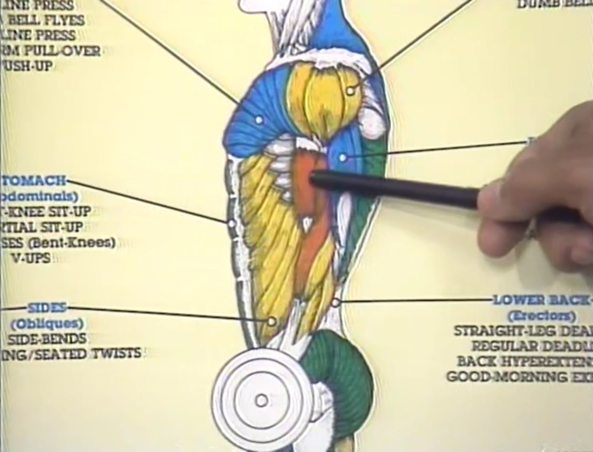 Story of a Body Building Superstar Vol 13