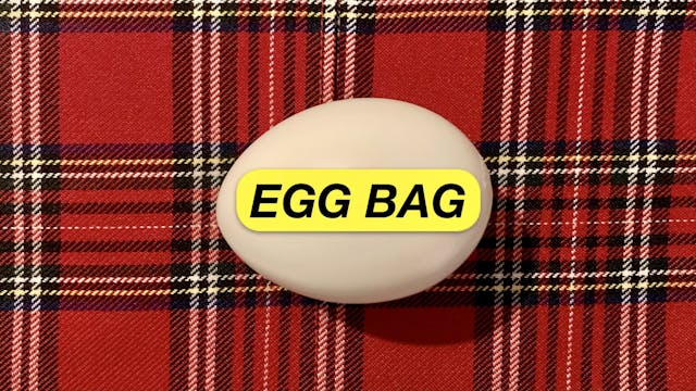 THE EGG BAG - THE BEGINNING