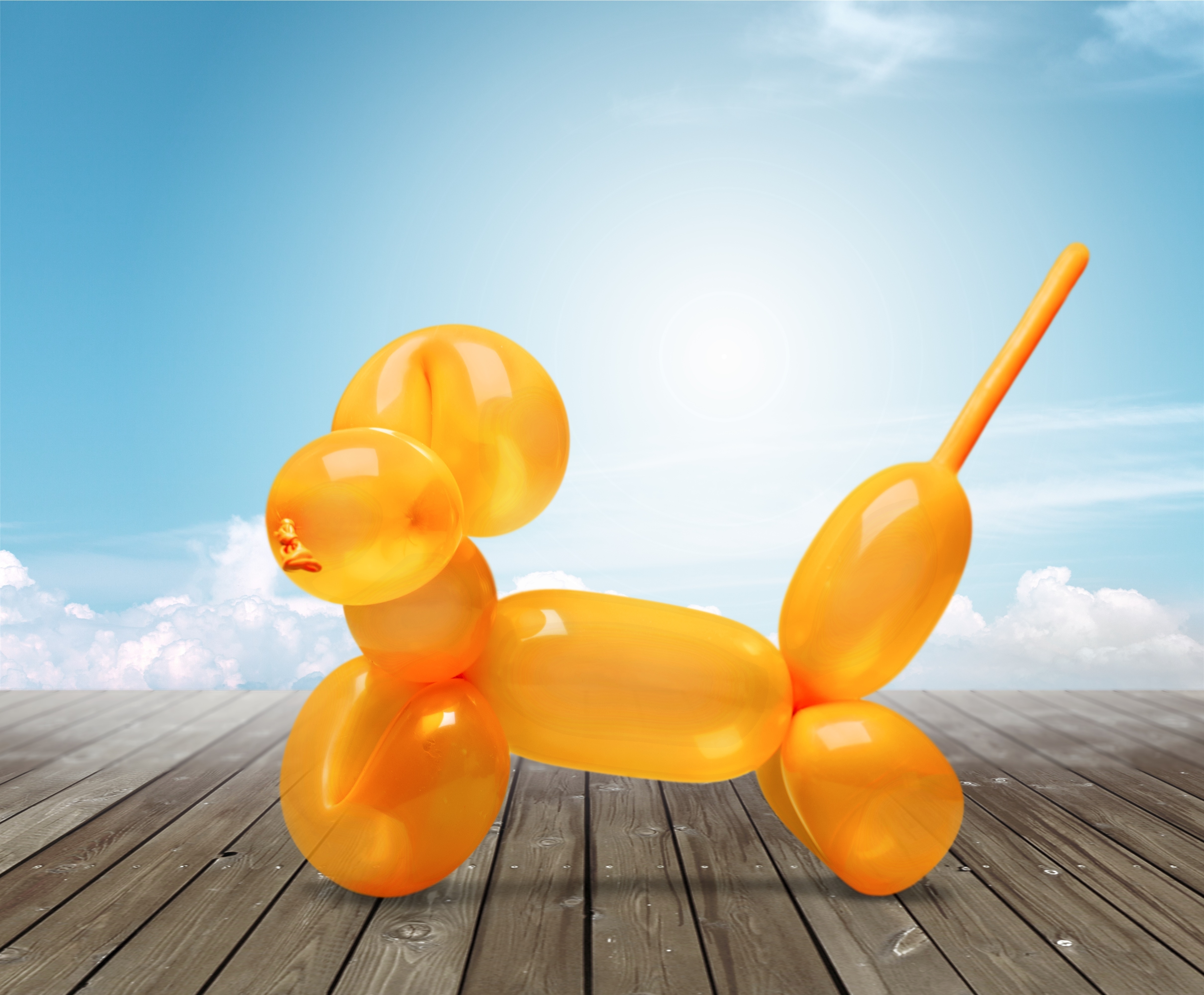 HOW TO MAKE A BALLOON DOGGY