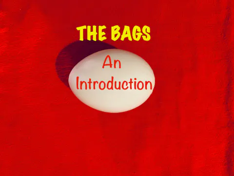1 - THE EGG BAGS - INTRODUCTION