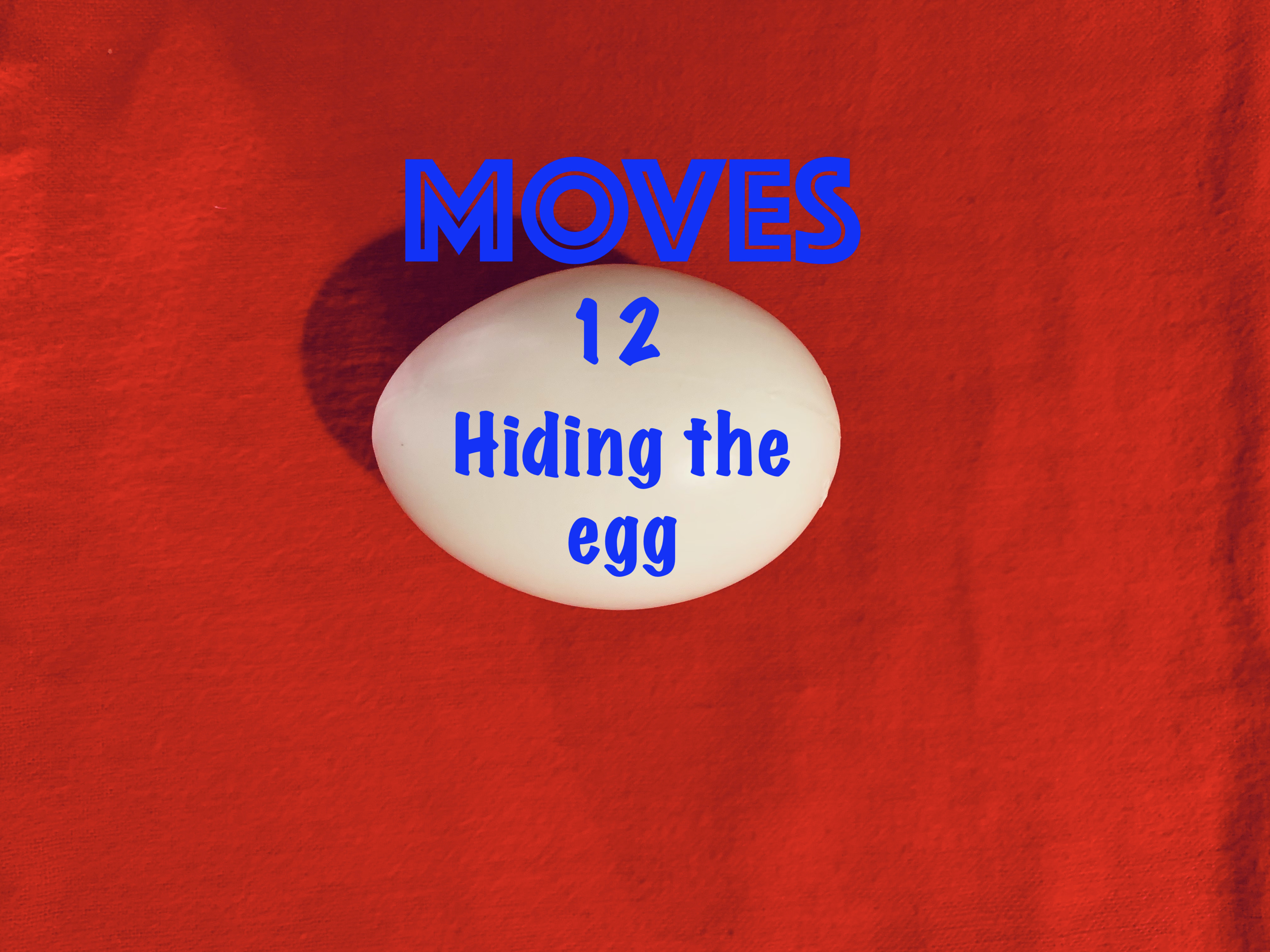 12)  EGG BAG HANDLING & MOVES - HIDING THE EGG