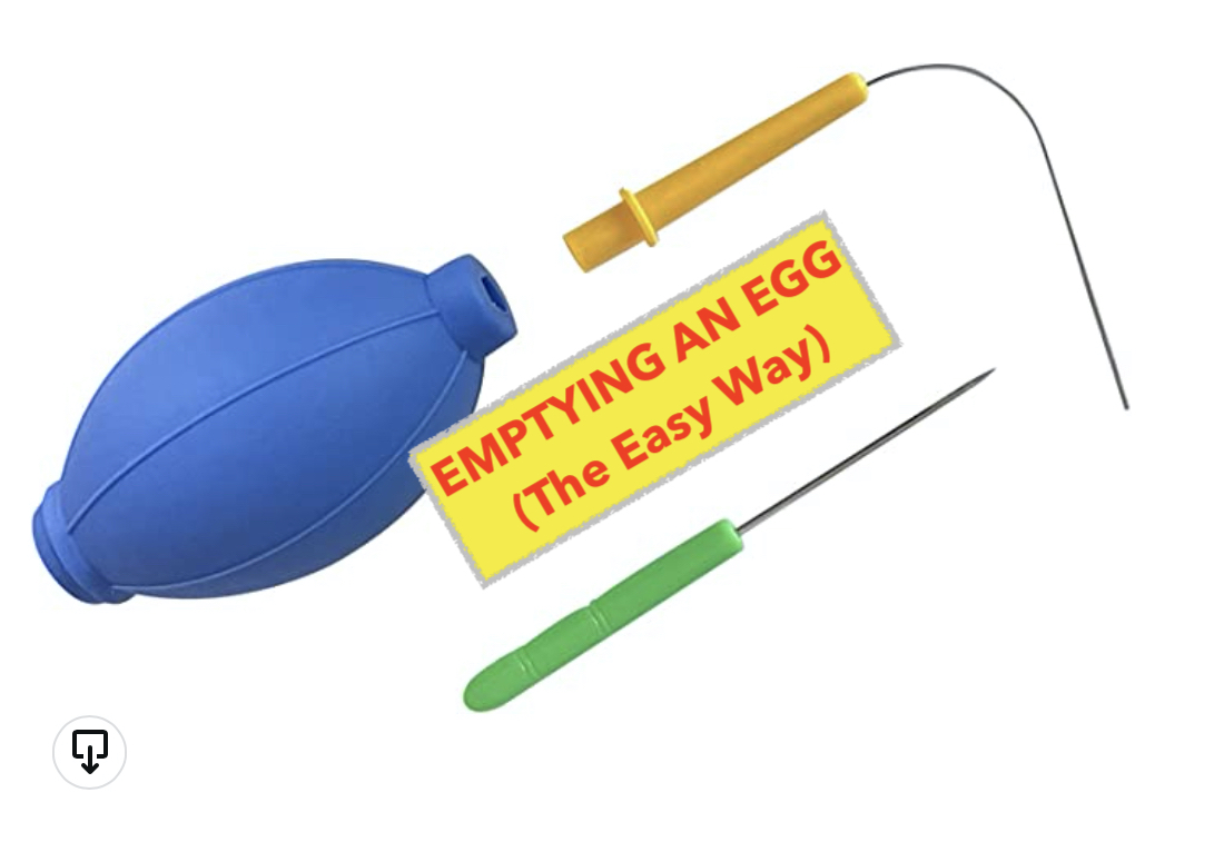 11 - EMPTYING AN EGG - THE EASY WAY