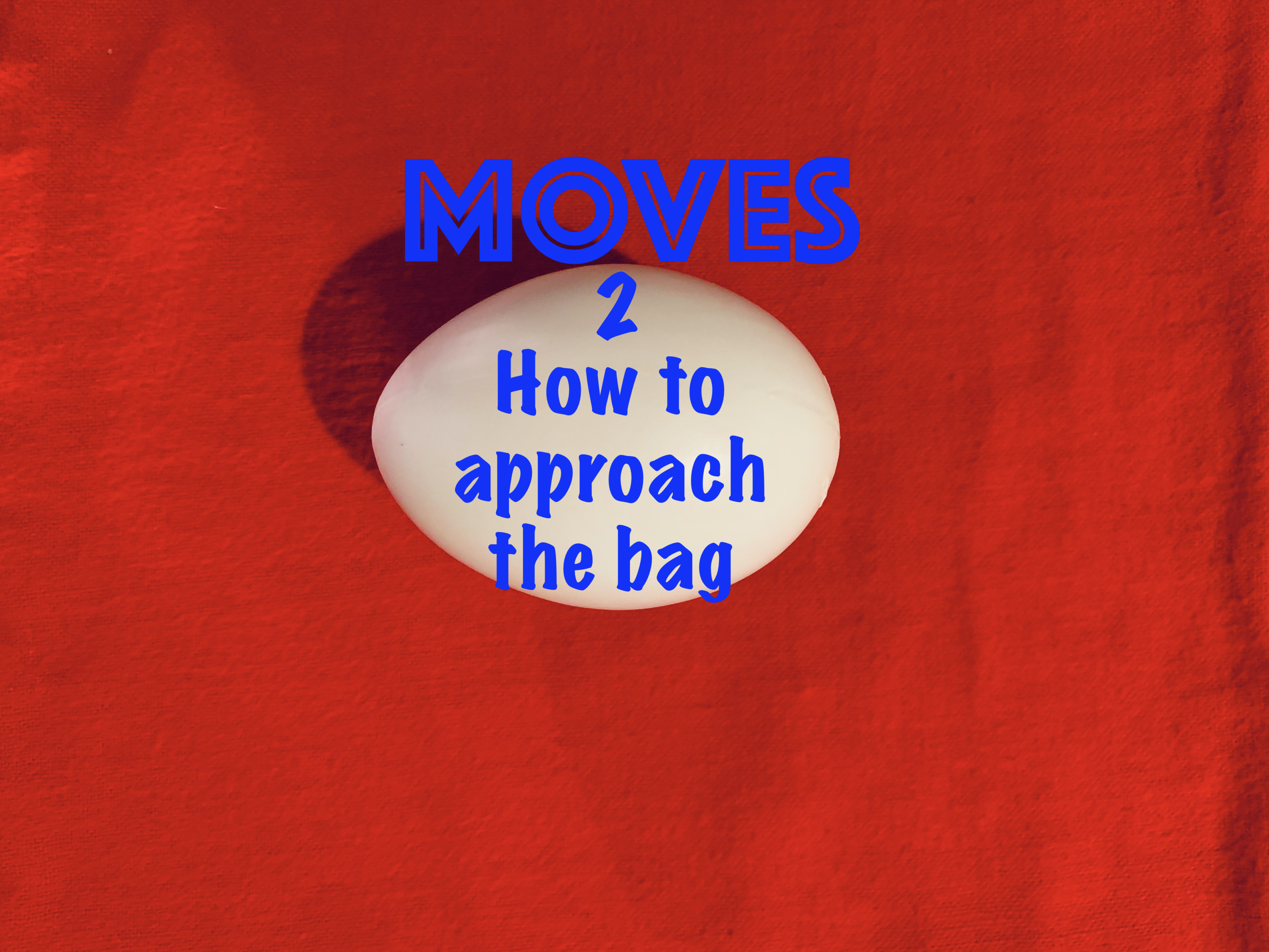 2) EGG BAG HANDLING & MOVES - HOW TO APPROACH THE BAG