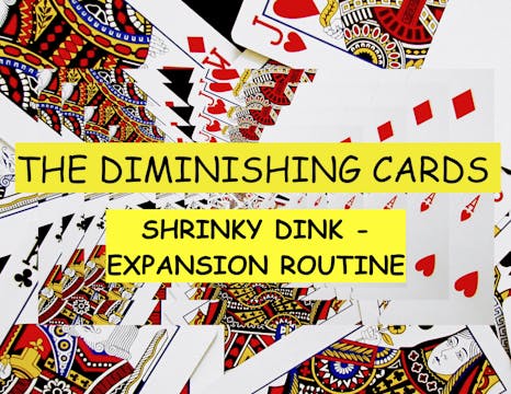 31 SHRINKY DINK EXPANSION ROUTINE - D...