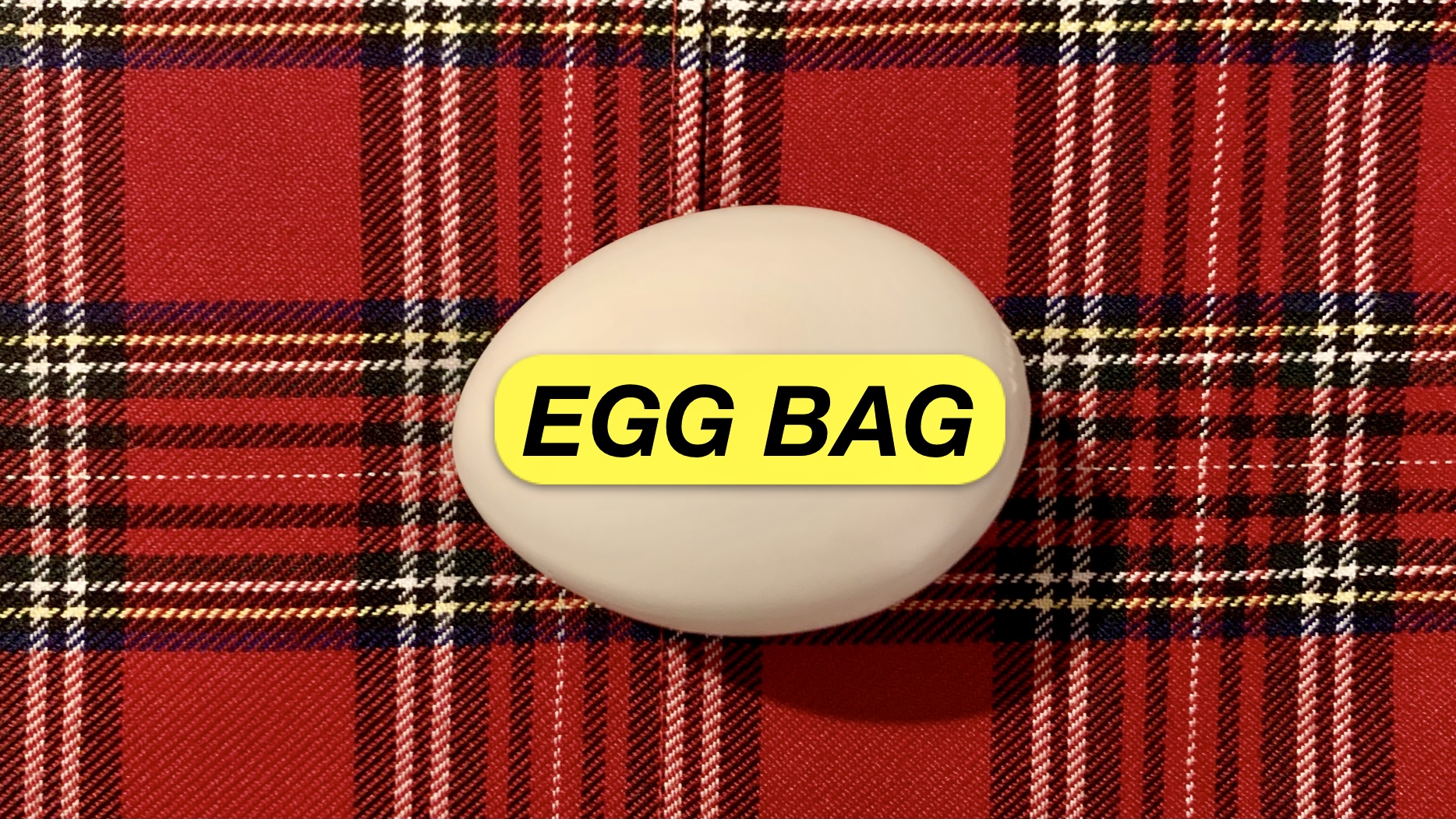 EGG BAG - AN INTRODUCTION