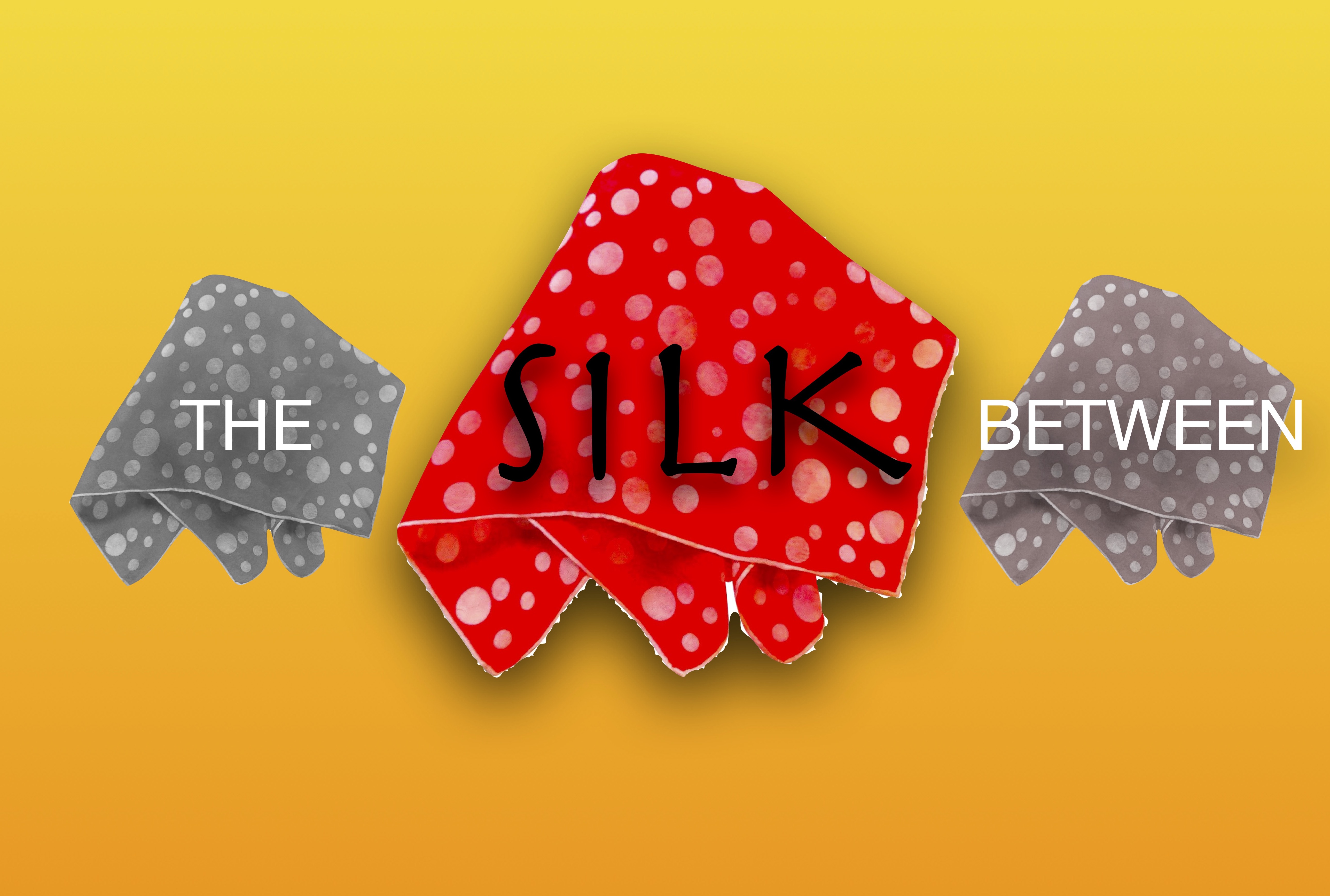 SILK BETWEEN & BEYOND