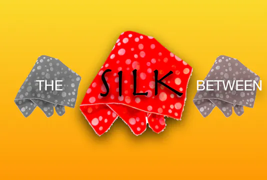 SILK BETWEEN & BEYOND