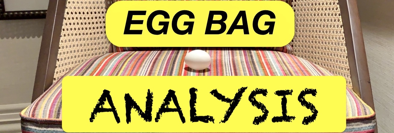 1 ARMCHAIR ANALYSIS - EGG BAG - DENNY HANEY