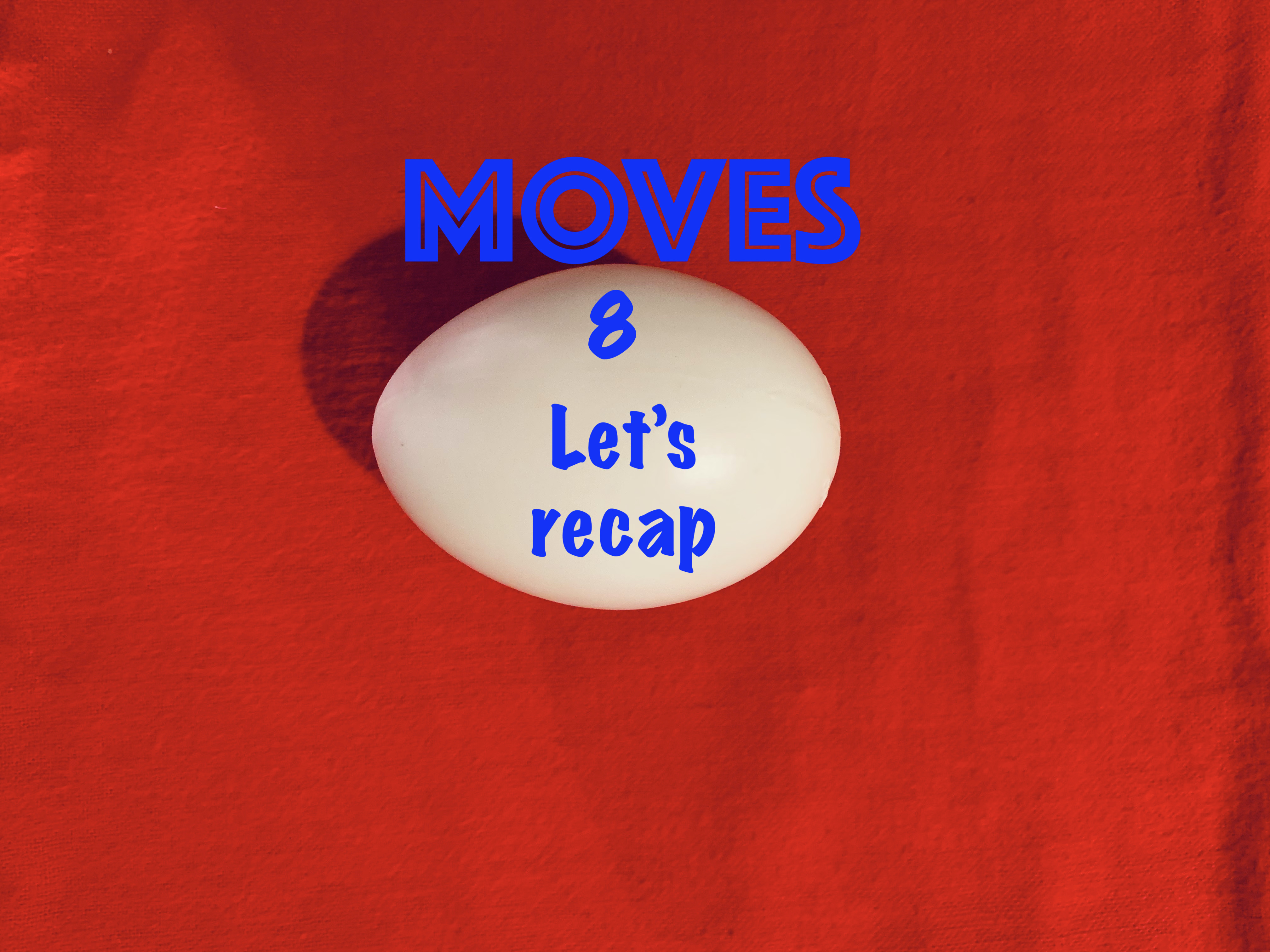 8) EGG BAG HANDLING & MOVES - LET'S RECAP