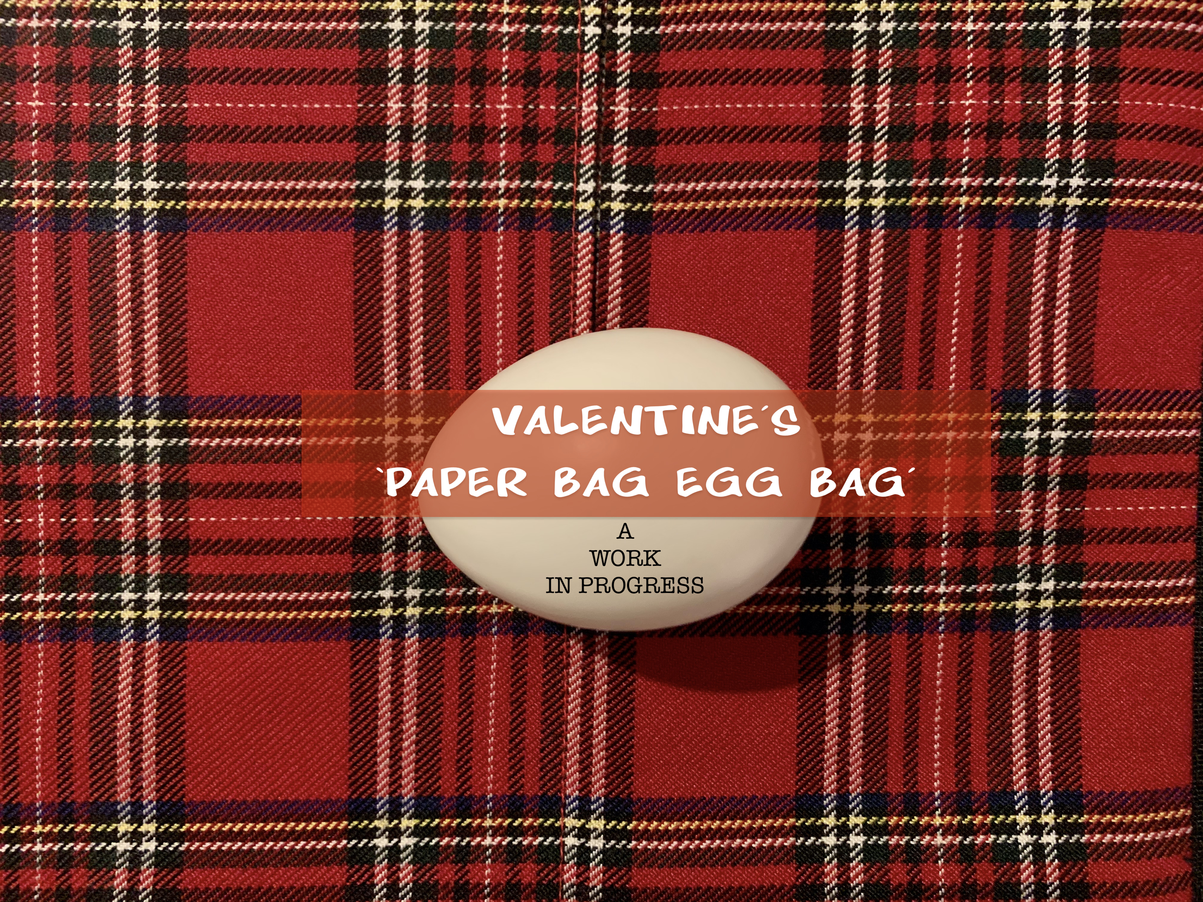 0- STEVE VALENTINE'S 'NEW PAPER BAG EGG BAG' - PT. 1 -  A WORK IN PROGRESS