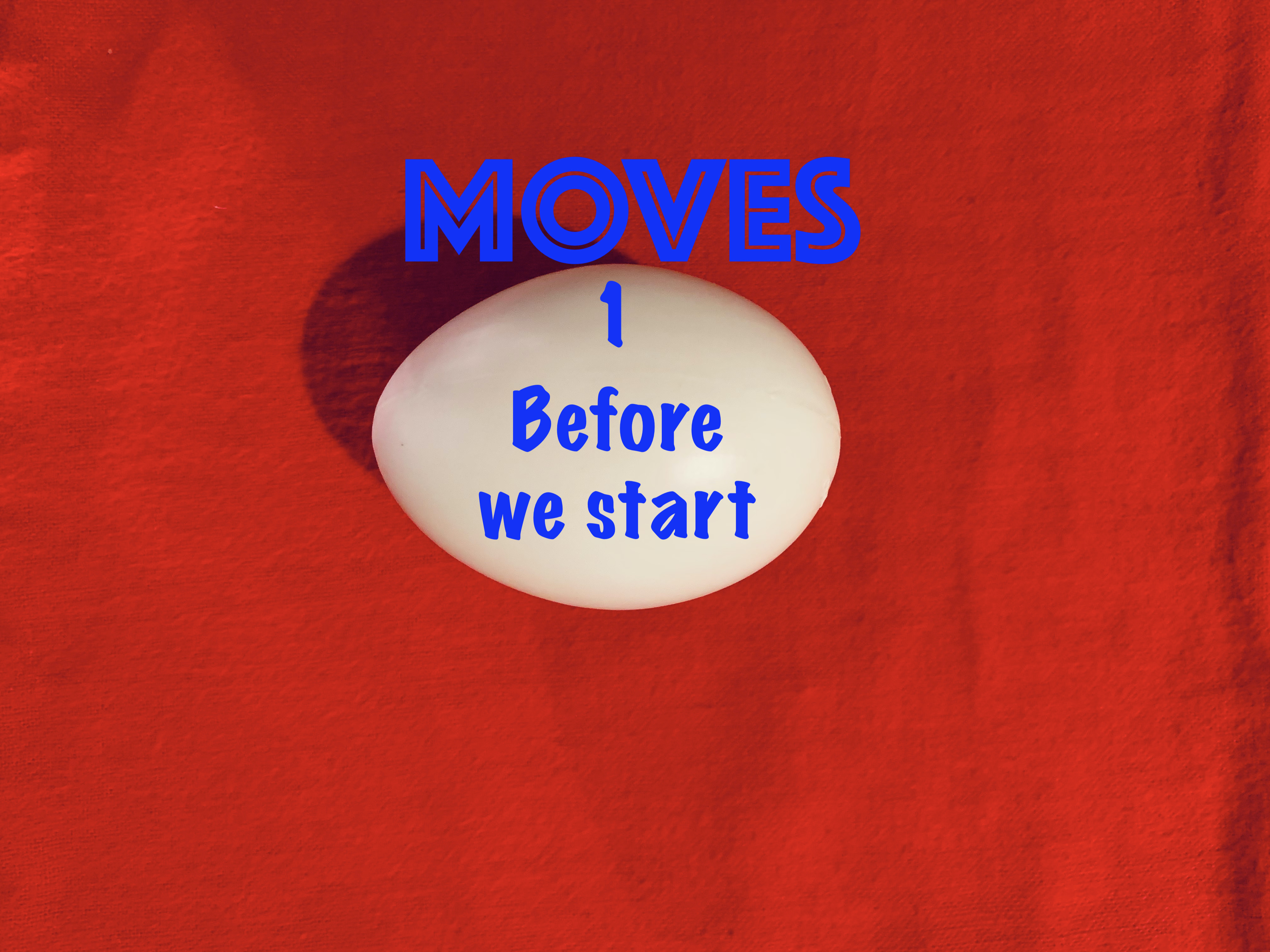 1) EGG BAG HANDLING & MOVES - BEFORE WE START 