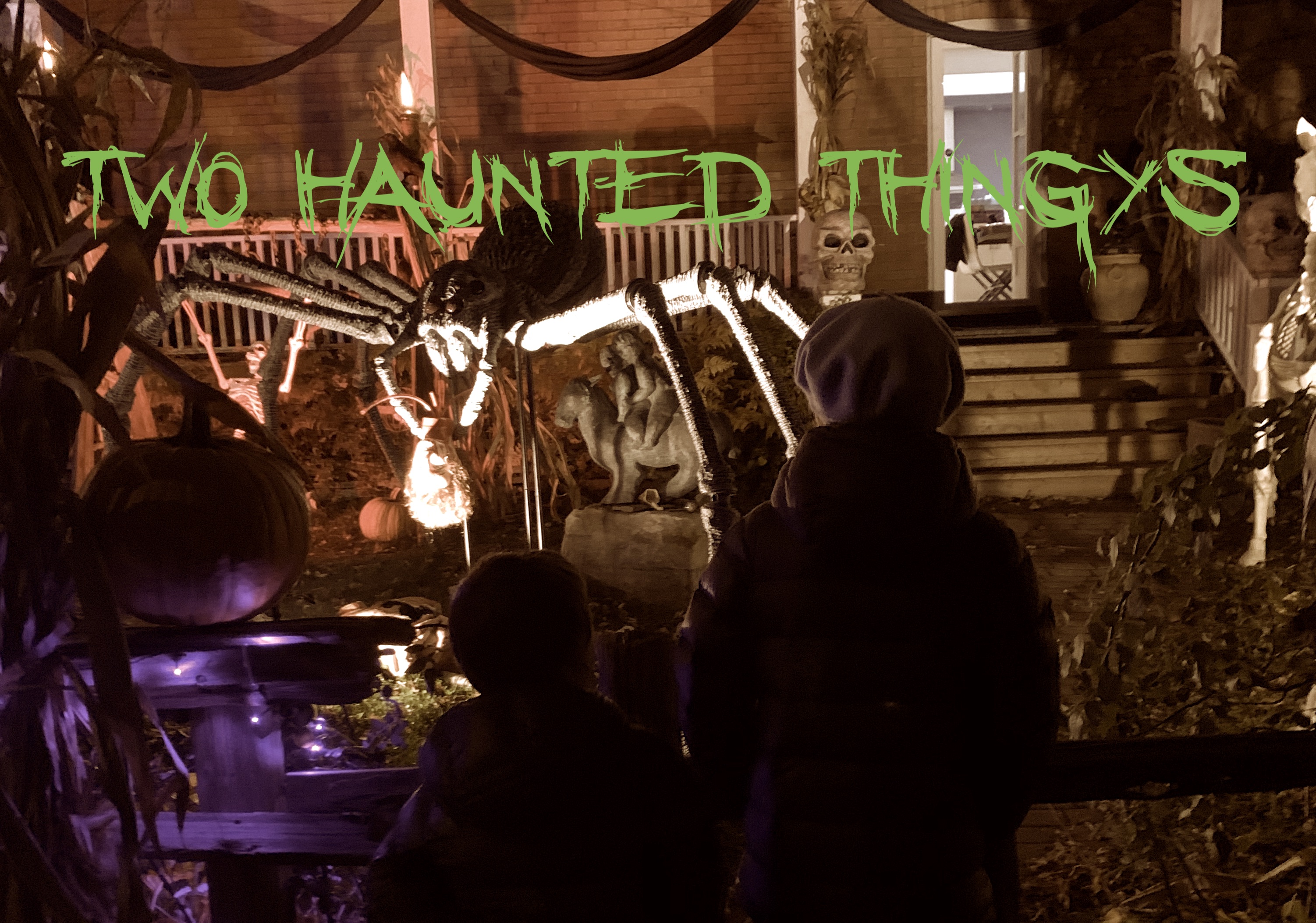 13 - TWO HAUNTED THINGYS