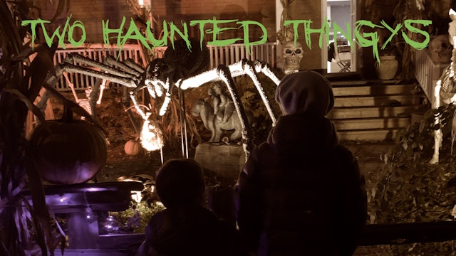 13 - TWO HAUNTED THINGYS