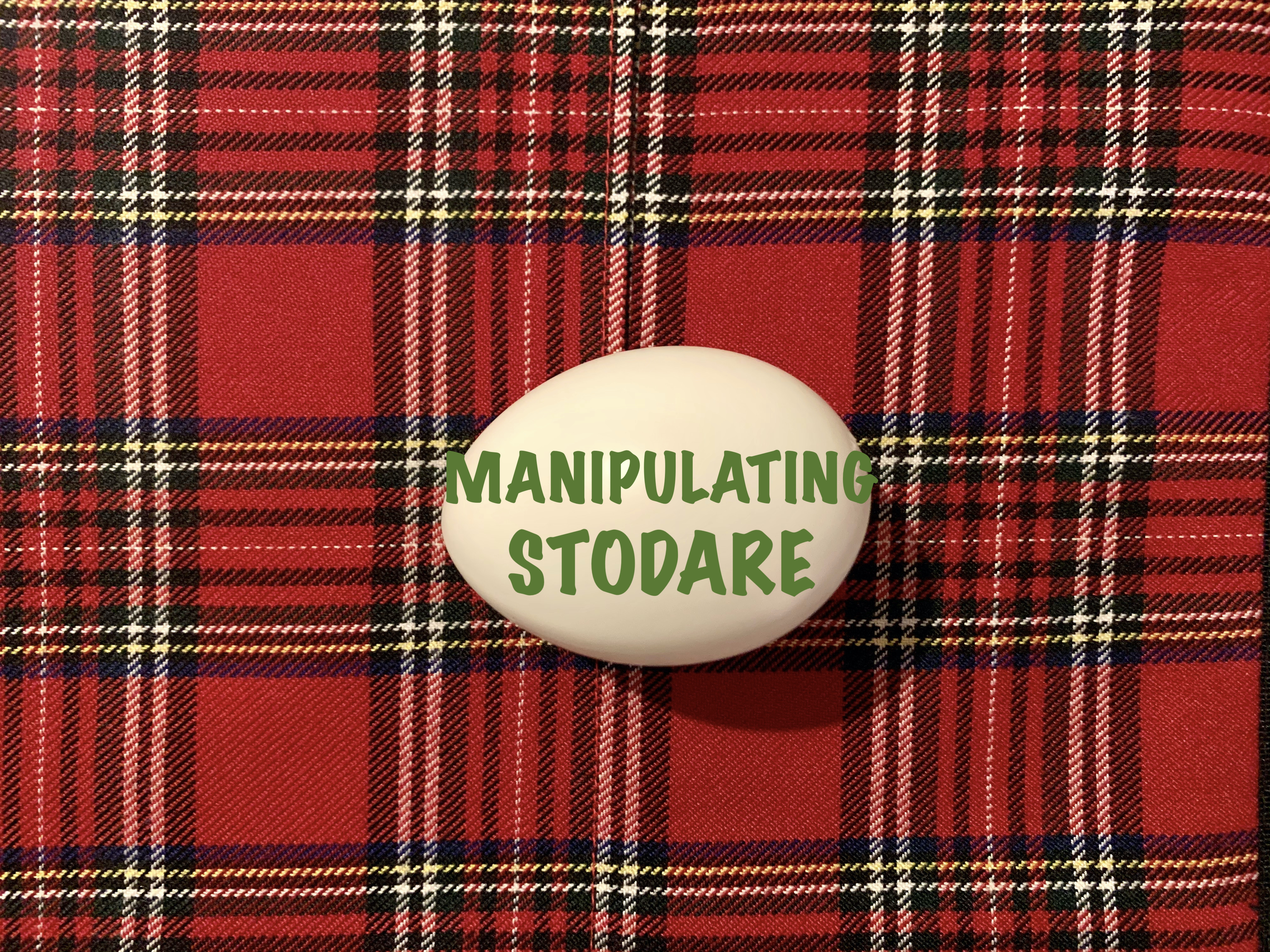 5 - THE EGGS - MANIPULATING A STODARE