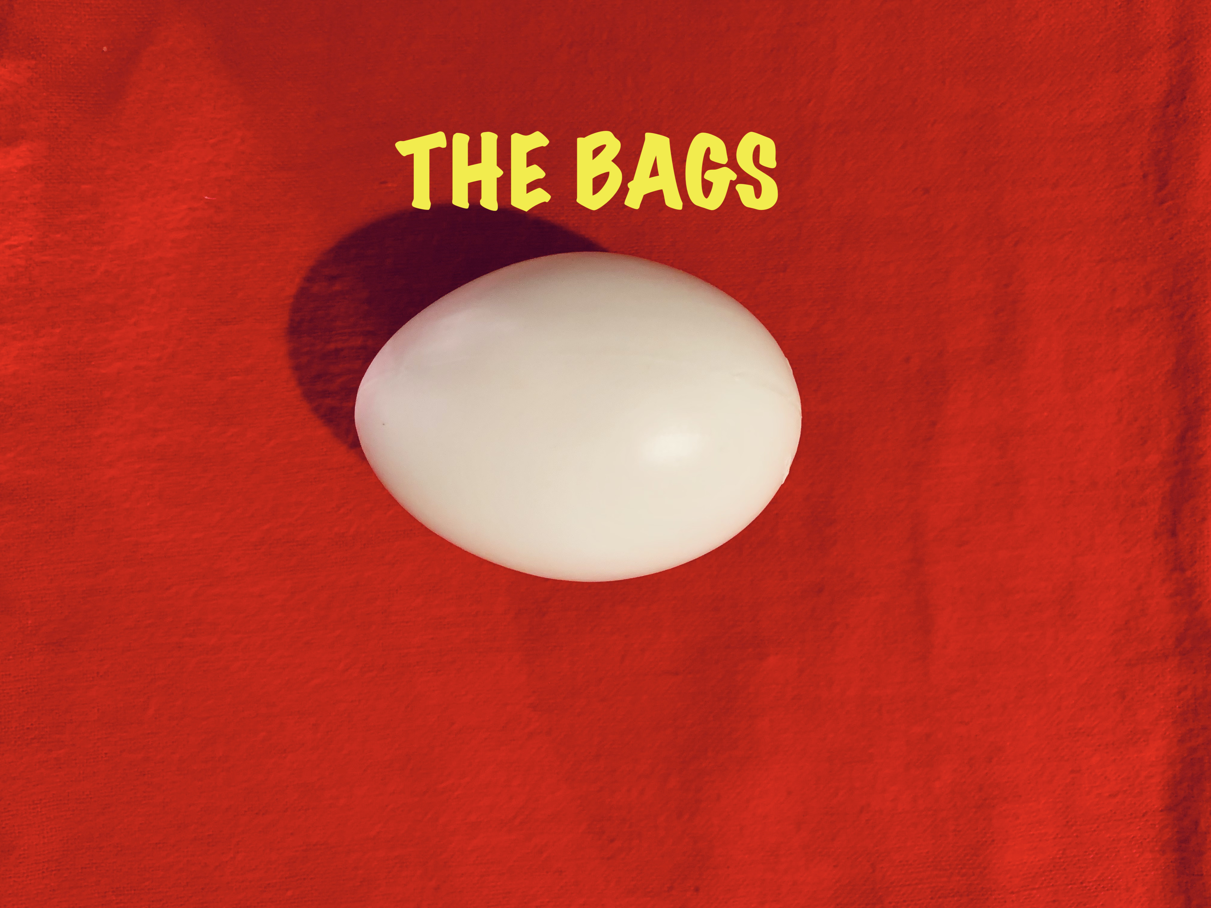 EGG BAG - THE BAGS - 12 videos!