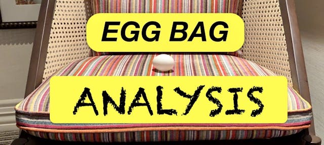 6 EGG BAG ANALYSIS - PAUL DANIELS