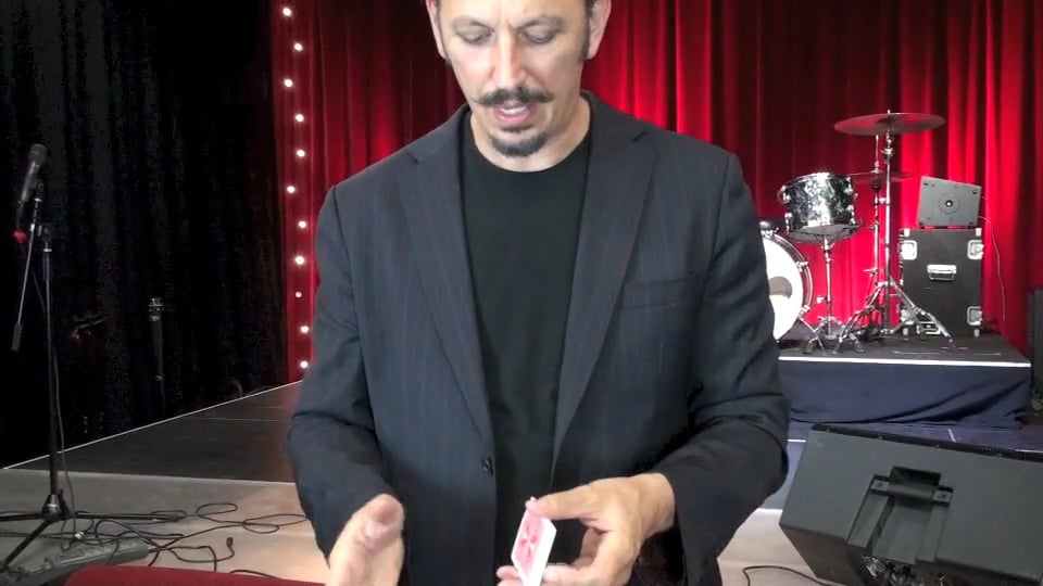 11 C2P COLOR CHANGE PALM