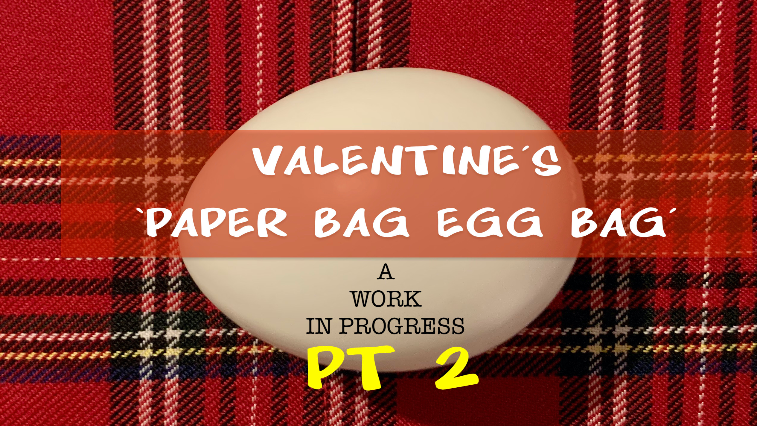 1 - STEVE VALENTINE'S 'NEW PAPER BAG EGG BAG' - PT. 2 -  A WORK IN PROGRESS