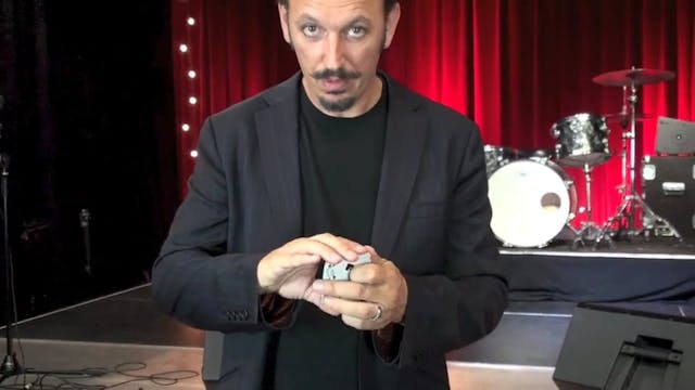 DOC DALEY BOTTOM PALM