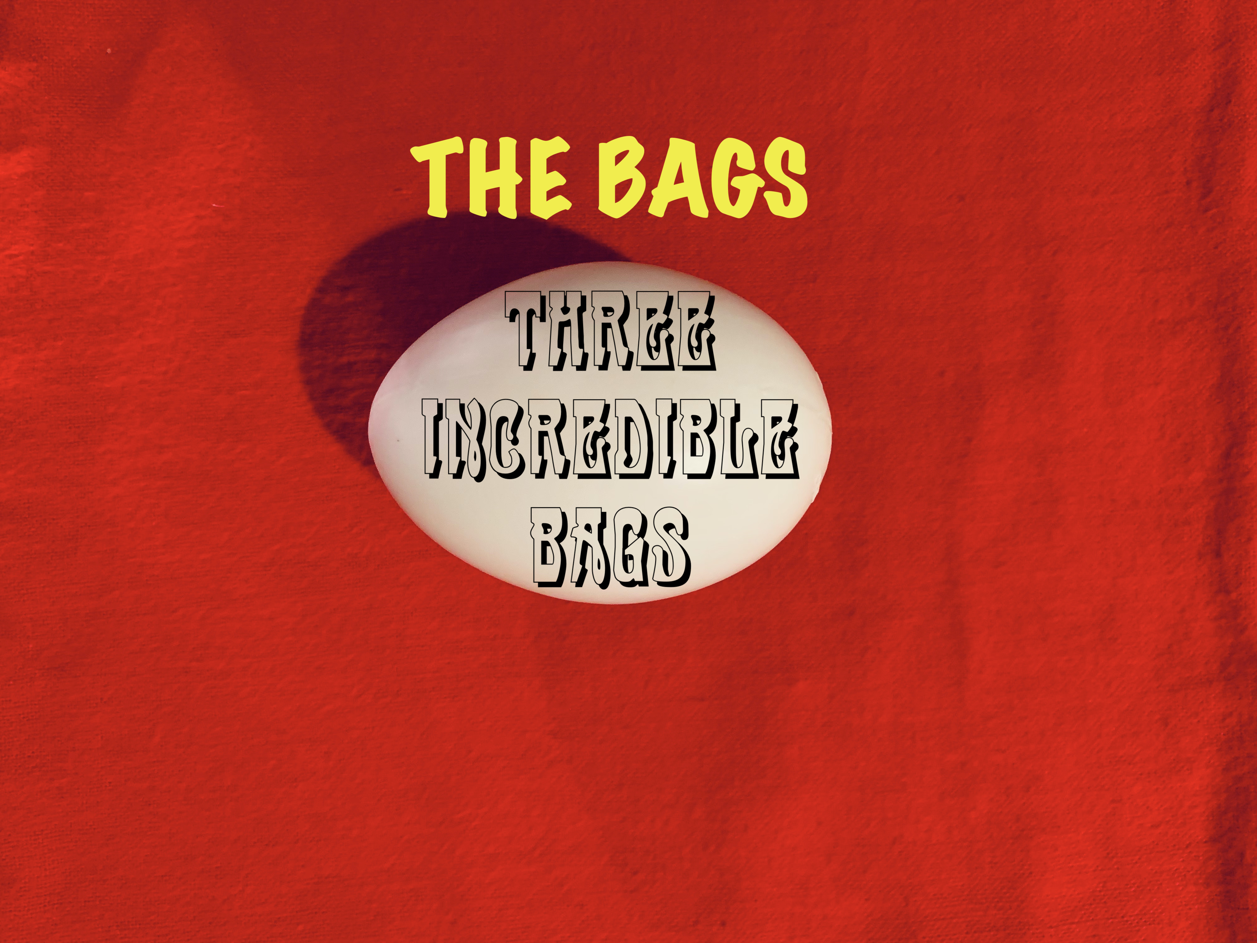 12 THREE INCREDIBLE EGG BAGS