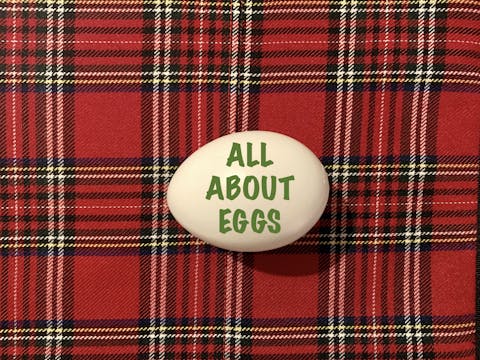 EGG BAG - ALL ABOUT THE EGGS - 11 videos!