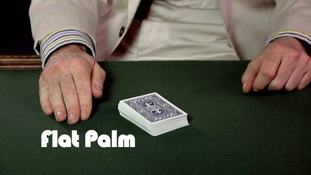 Flat Palm 