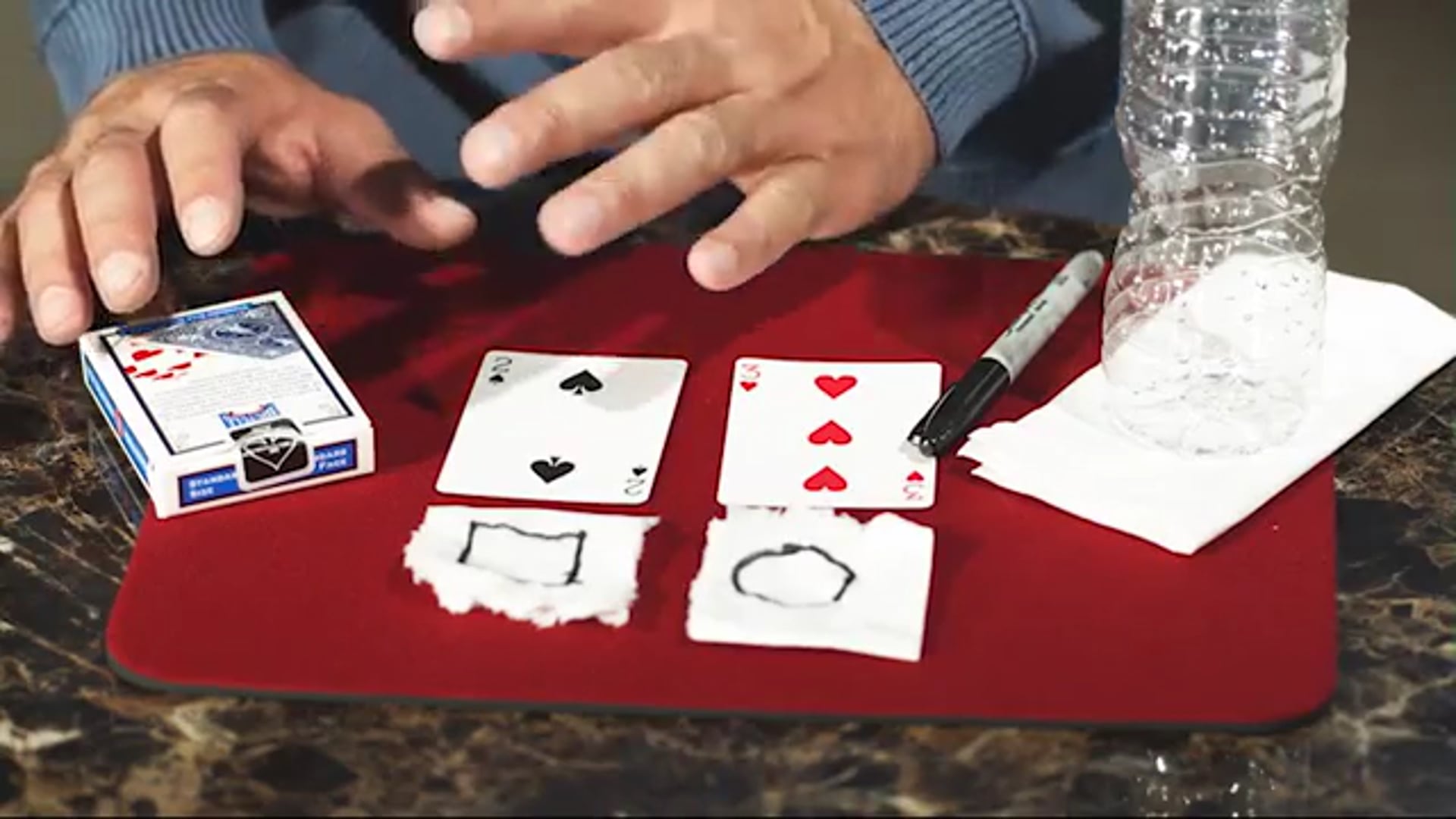 The Prediction - Learning Video