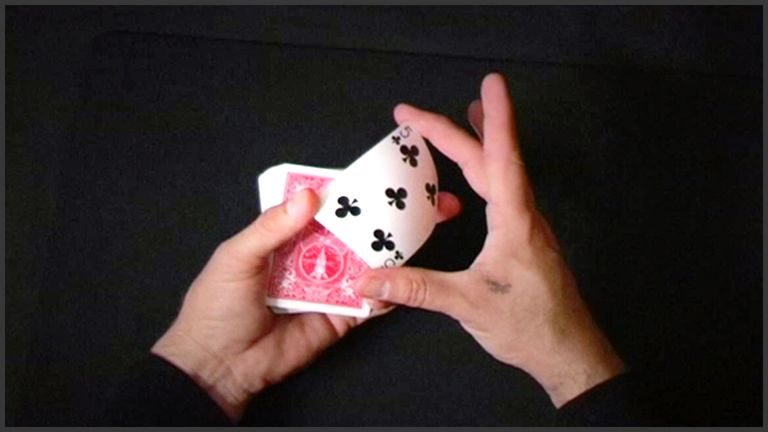 Chameleon Color Change