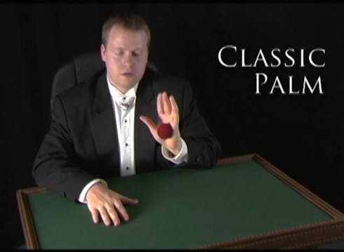 Classic Palm