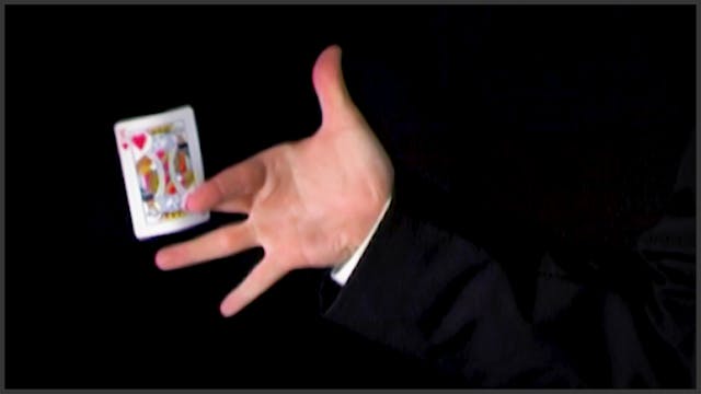 Back Palm Production