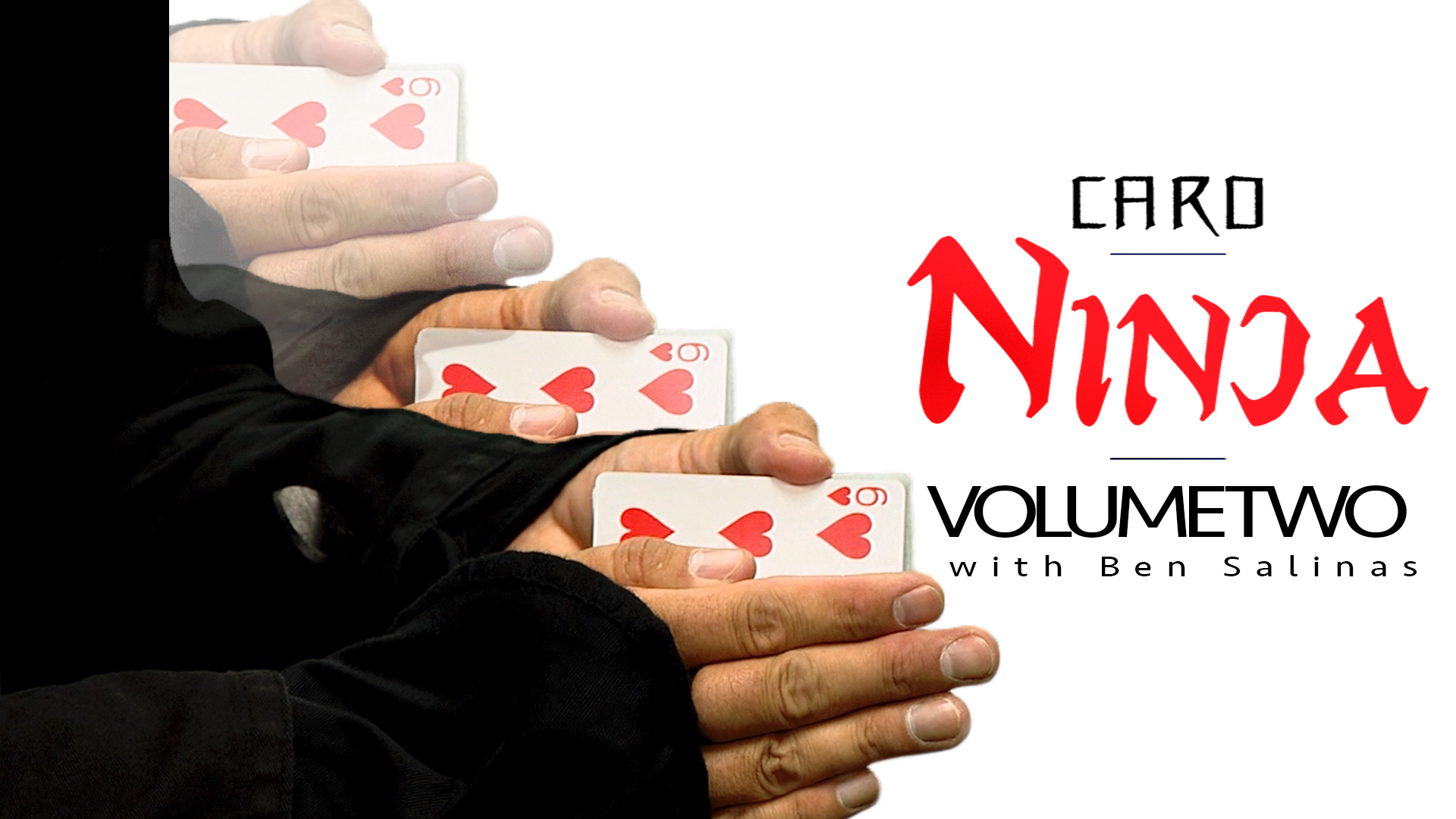 Card Ninja Volume 2