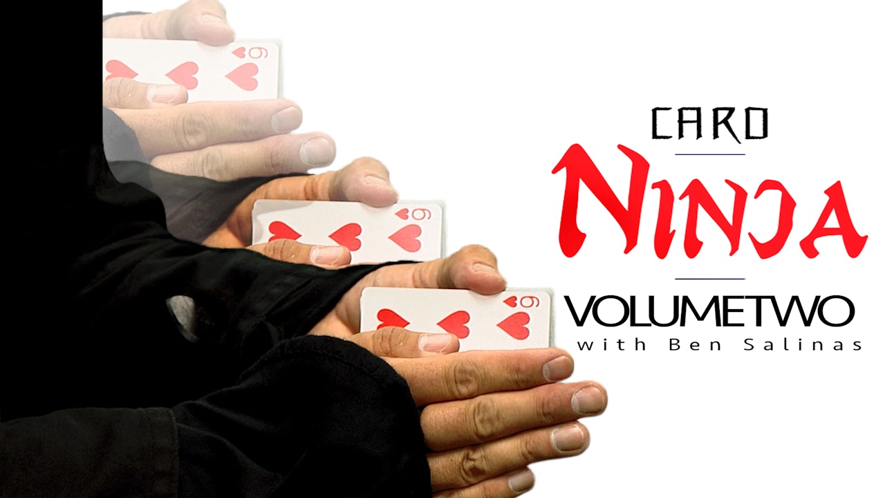 Card Ninja Volume 2
