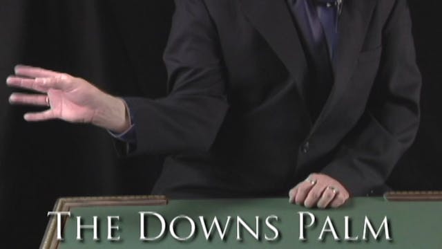 The Downs Palm