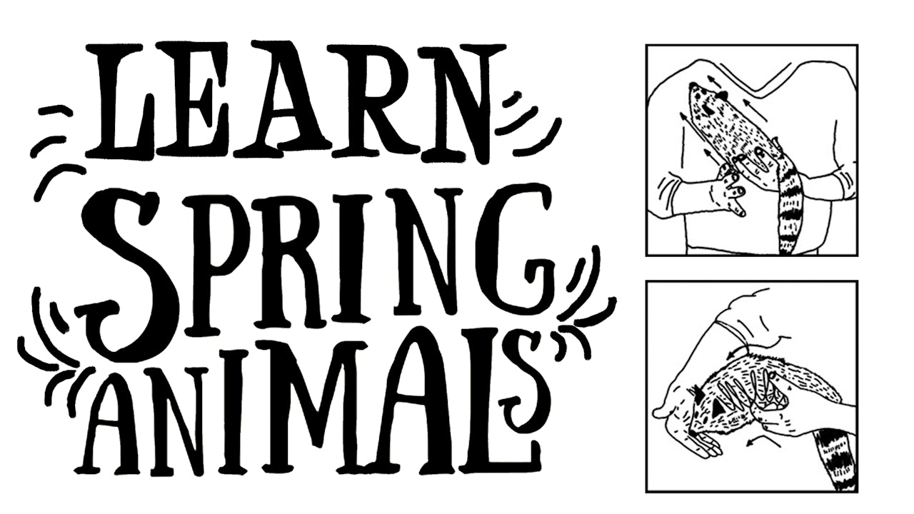 Learn Spring Animal on MasterMagicTricks.com